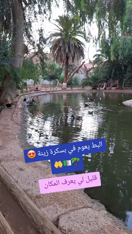 بلاصة لي قليل ليعرفوها #بسكرة❤️🌴 #biskra_algerie💪🏼👊🏼🔥 #البساكرة #dzair🇩🇿 