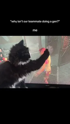 pettin da kitty  #dbd #deadbydaylight #fyp #dbdtiktok 