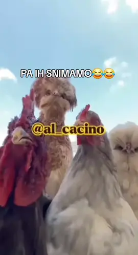 #foryou #f #balkan #tiktok #for 