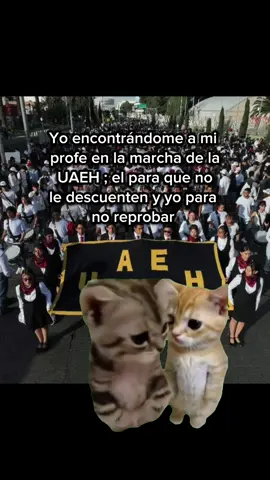 Hoy en la marcha de la #UAEH 😥#Meme #MemeCut 