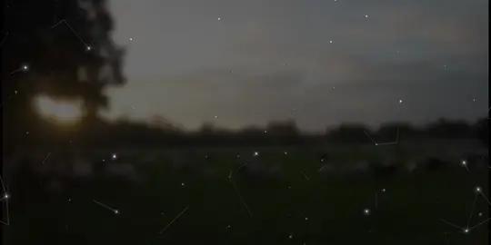 تلاوة نادره غير منتشره للشيخ محمد صديق المنشاوي #تلاوة_خاشعة #المنشاوي #تصميم_قران #قرآن #لا_اله_الا_الله_محمد_رسول_الله 