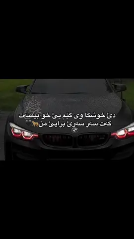 🖤🐆#fyp #foryou #viral #duhok_zaxo_amedi_semel_akre_hawler #kurdstan🇹🇯️ 