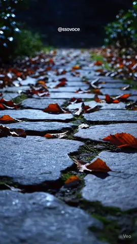 #ultrarealismoai #nature #lindonaturezaperfeicao #aesthetic #cinematic 