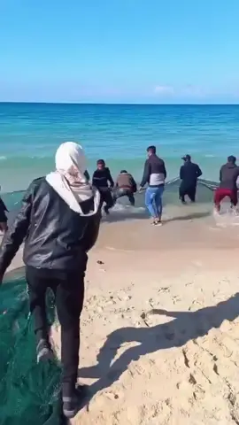 October 3, 2025 Thanks to the heroes of the Global Fleet of Resistance, Gazan fishermen were able to catch fish after a long time (as the Israeli Navy moved towards the Resistance ships) #Gazaholocaust #gazaforcedfamine #Gaza #Children #globalsumudflotilla 
