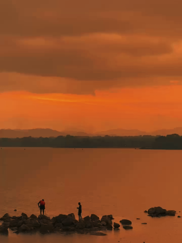 දැක්කම හිත නිවෙන පුදුමාකාර දේවල් ලෝකෙ තියනවා! හරියටම 
