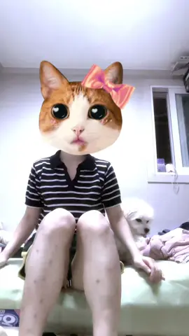내일 내림 ㅅㄱ #추천 