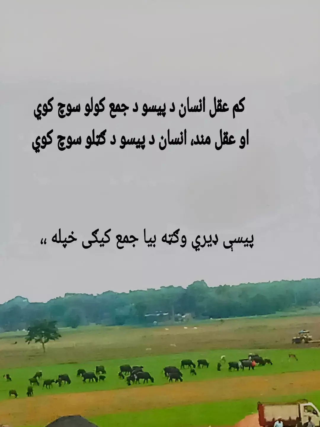 #fypage #jummamubarak #viewers #pashtopoetry #pashtosadpoetry 