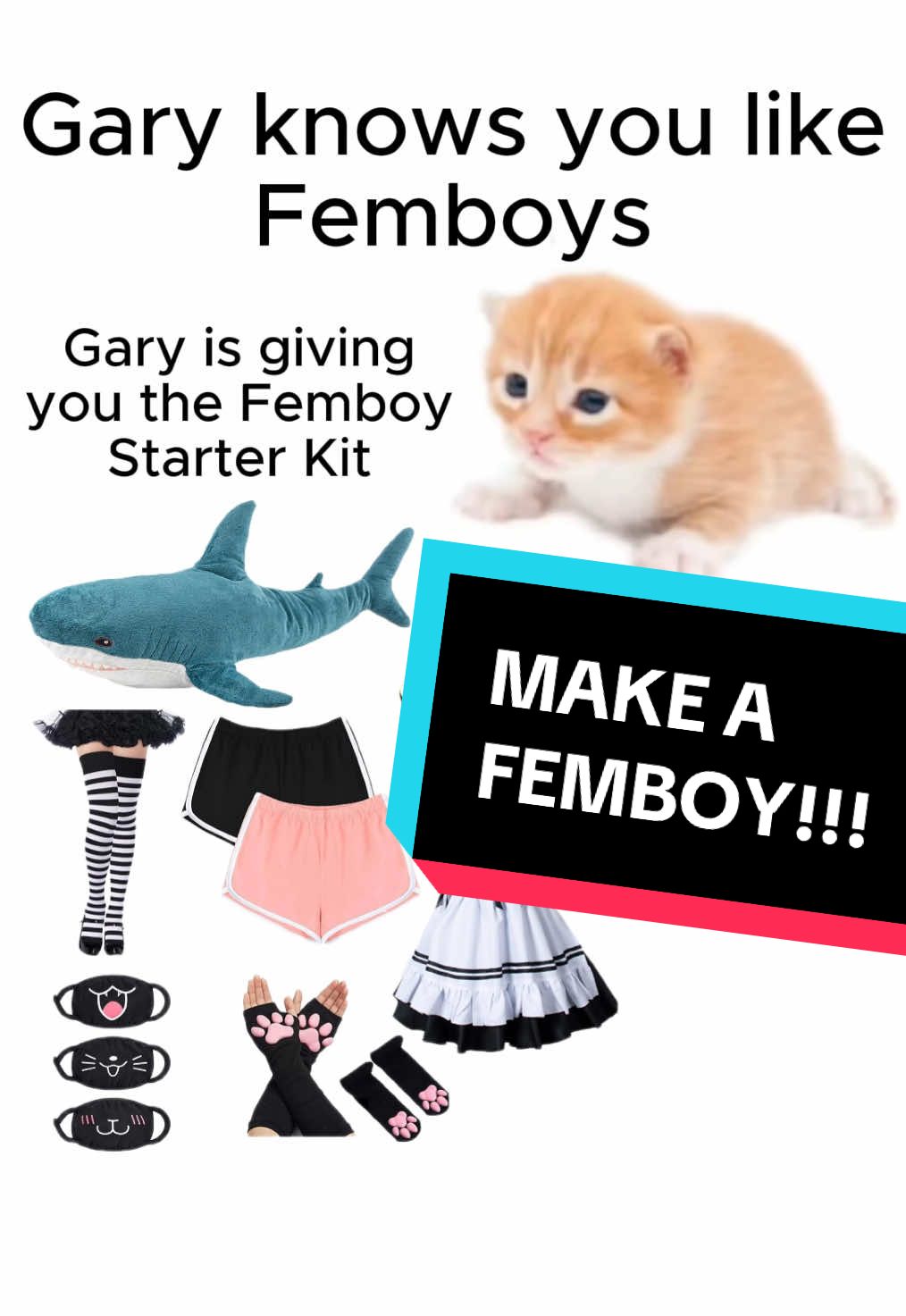 Say “Thank you Gary”!!! #femboy #vtuber #vrchat #furry #nekoa 