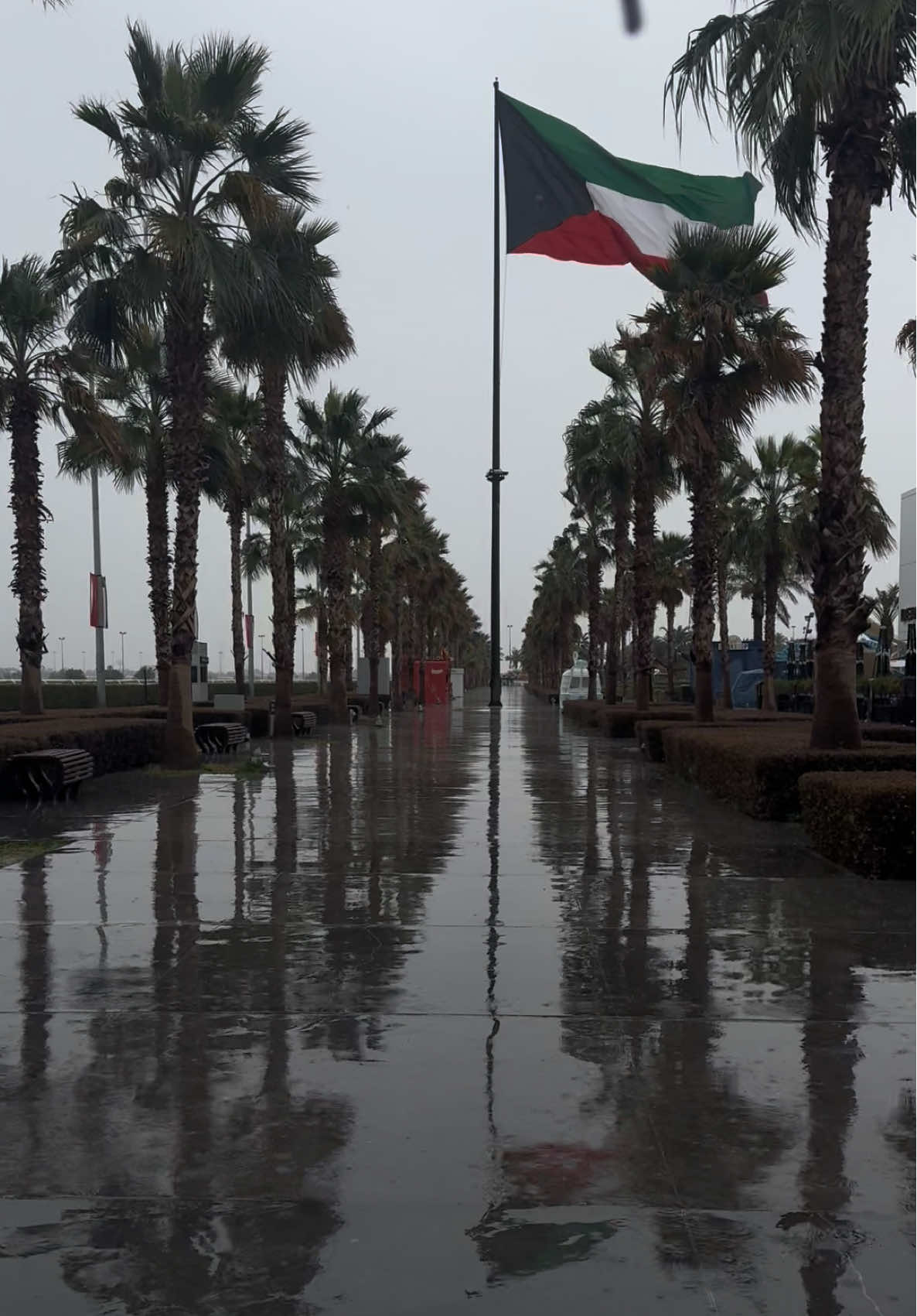 الووو الشتاءءء  #الكويت #الكويت🇰🇼 #kuwait 