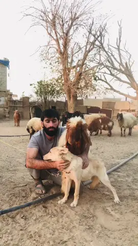 #سبحان_الله_وبحمده_سبحان_الله_العظيم 
