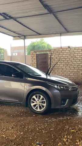 #نيل_عرابي 