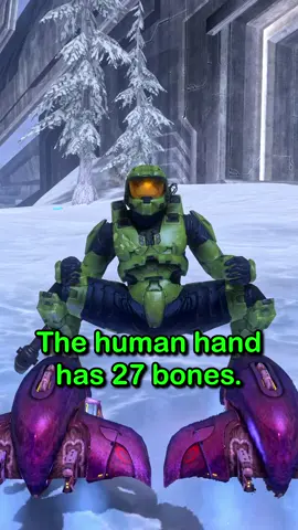The human hand has 27 bones, but….  #Halo #memes #masterchief 