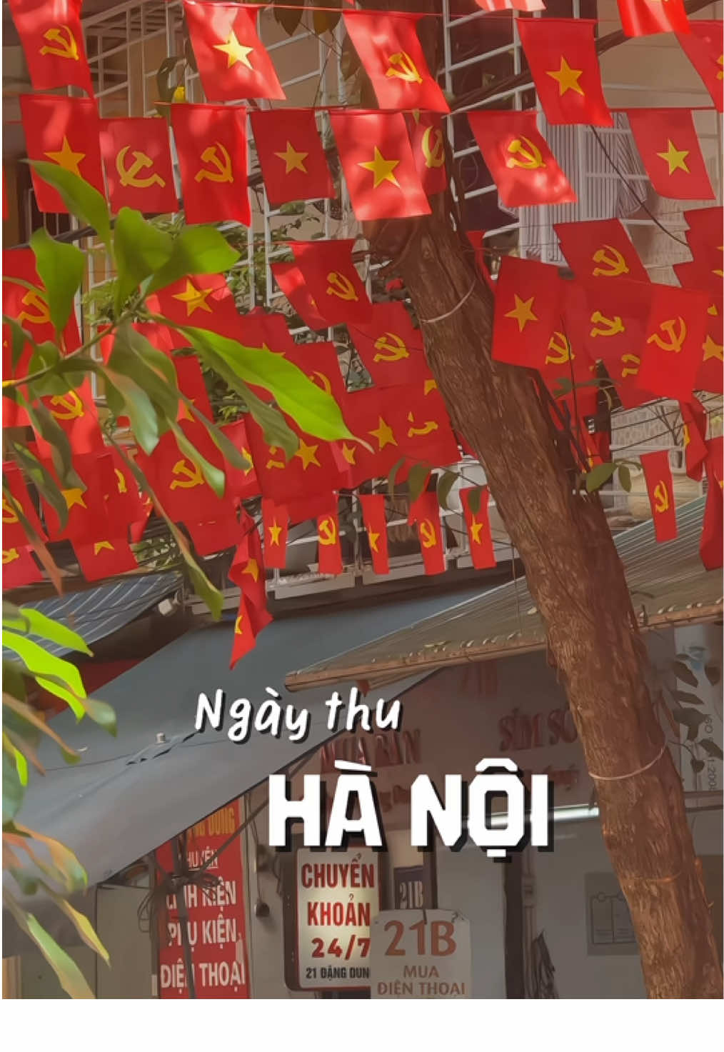 Có một thu Hà Nội đẹp đến nao lòng 🥰🍃 #thuhanoi #muathuhanoi #hanoi #review  #thuhànội 