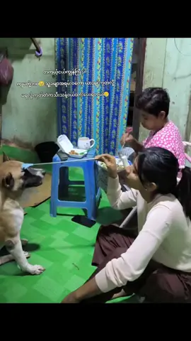 သူယားရင်ကျမတို့အဲလိုကုတ်ပေးရပါတယ် ၀တော့ခြေကမမှီတော့လို့ပါ ဝိတ်ကလျော့ပေးဖို့ကို လျော့တဲ့နေရာမရောက်ပါဘူးစားပြီးရင်းစားနေလို့ပါသူ့ဟာကုန်ရင်သူများဟာလုစားပါတယ်🥹#တိချစ်သူတွေရင်ထဲရောက်စမ်း #foryoupage❤️❤️ #creatorsinsights #viral #fyppppppppppppppppppppppp 