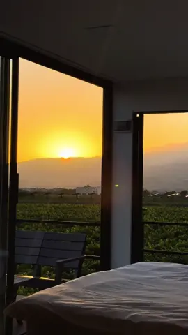 🌅 #thevineyardexperience #guesthouse #discoverlebanon #vacationrental #zahle 