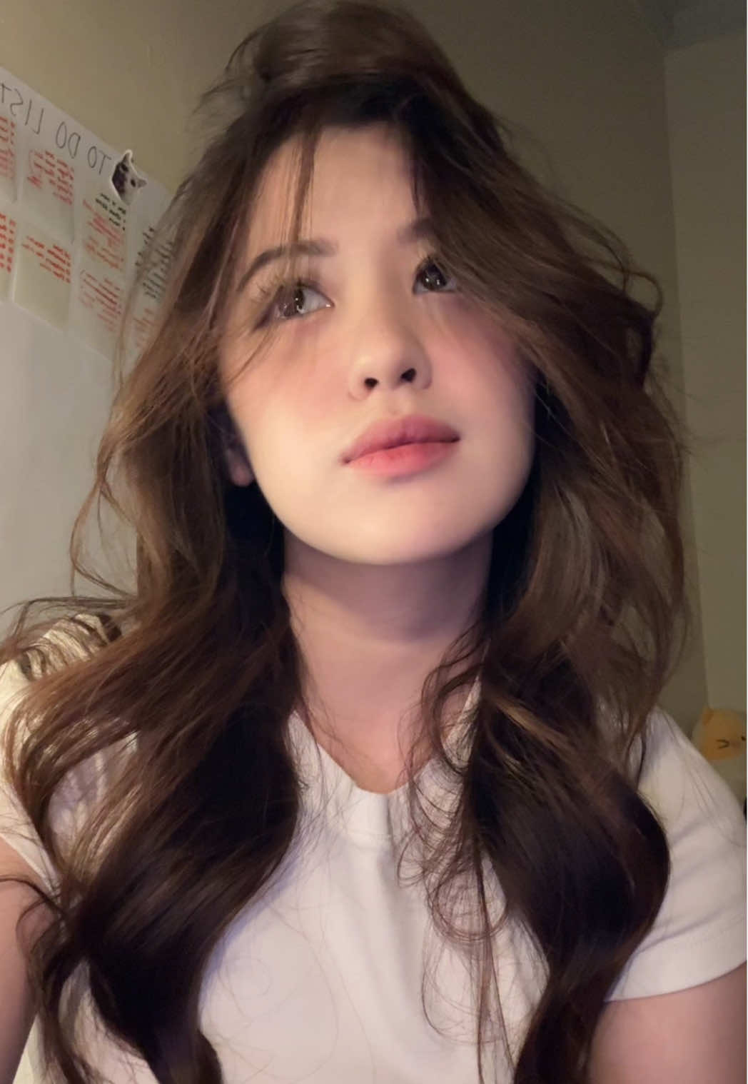 tebak makeup inspo