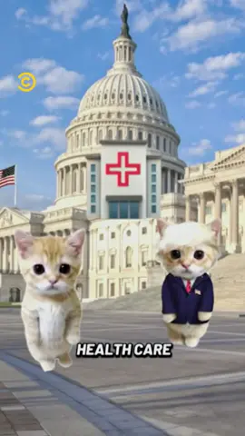 You've gotta be kitten me 😹 #TheDailyShow #Republicans #Democrats #ComedyCentralUK #CCUK #Trump #Comedy #Funny #News #BestOf #Laugh #WhiteHouse #Politics #Headlines #News #US #America