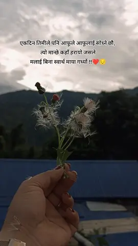 एकदिन तिमीले पनि आफूले आफूलाई सोध्ने छौ, त्यो मान्छे कहाँ हरायो जसले मलाई बिना स्वार्थ माया गर्थ्यो !!❤️😔 #sadlifefams #creatorsearchinsights #lovehurts💔 #fypシ #nolovenopain 