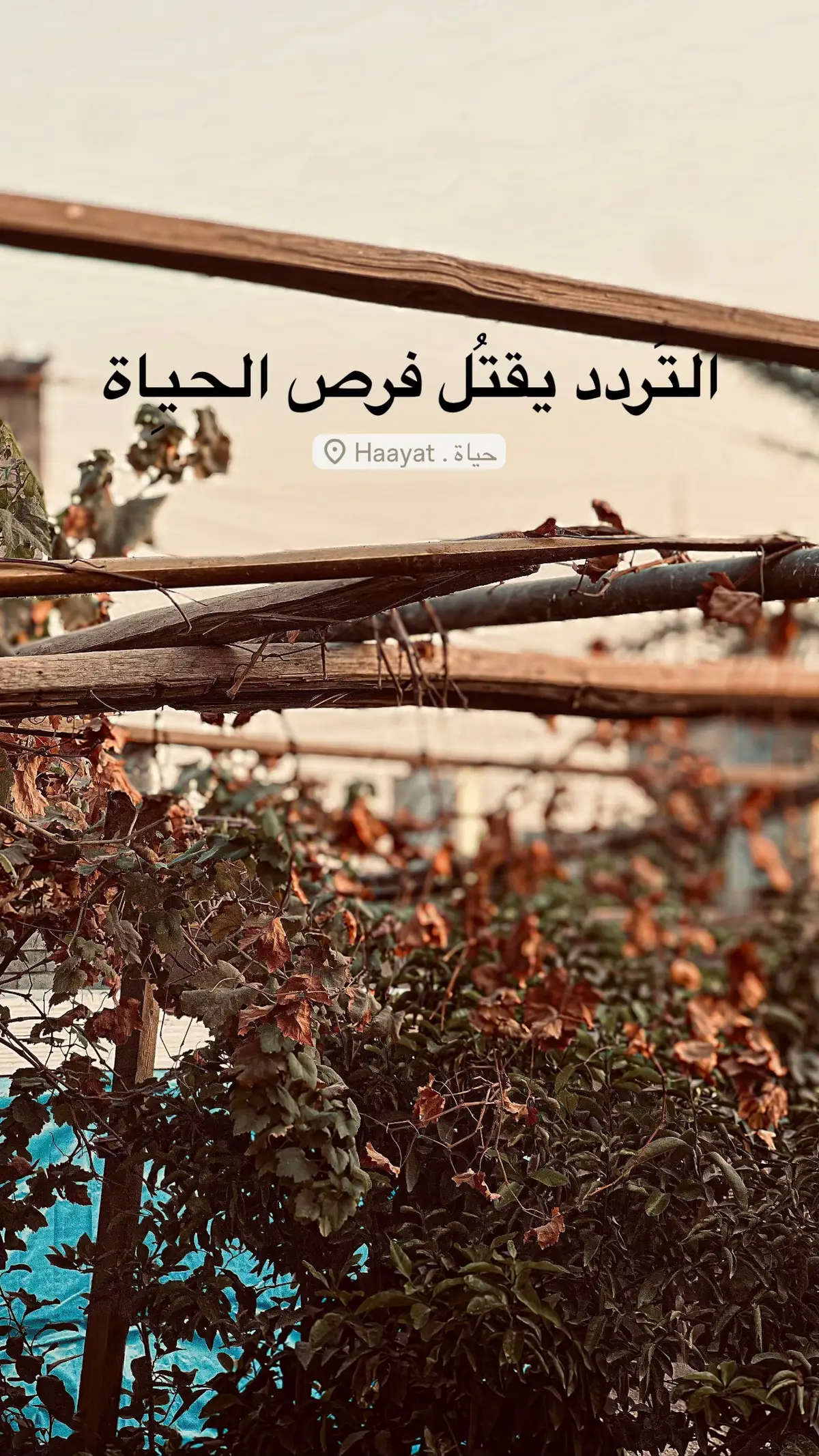#تصويري📷 #كن_ذا_أثر #شعور #مالي_خلق_احط_هاشتاقات #الشعب_الصيني_ماله_حل😂😂 