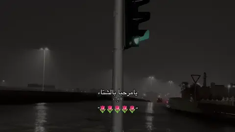 سويت صوت للشتاء🤎❄️.:منشن@𝔸𝕓𝕓𝕠𝕦𝕕 #عبودً_ 