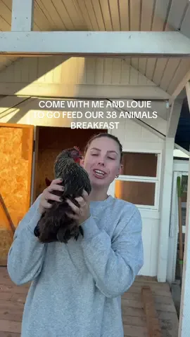 Life on the farm means knowing what real food looks like and Louie gets the same with @Open Farm Pet #openfarmpartner #ad 