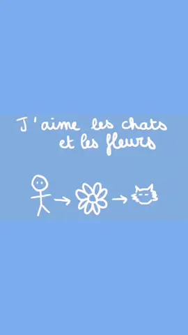 Entraînement au Morphing en animation 2D 😆! • • • • • • #art #animation #cat #cute #fyp 