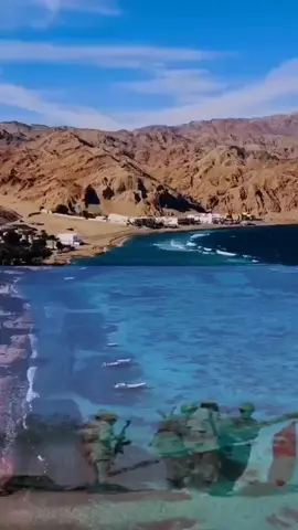✨☘️ أنا المصرى ☘️✨