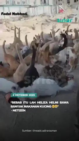 Ya Allah… bergenang air mata bila tengok kucing-kucing di Gaza berlari kelaparan mencari sesuap makan. “Saya bawak banyak makanan kucing untuk mereka, tak sabar nak bagi” - kata Heliza Helmi dalam Tiktok live beliau sebelum di tahan 🥹 #SINARKongsi #SINARMuzikRetroTerbaik