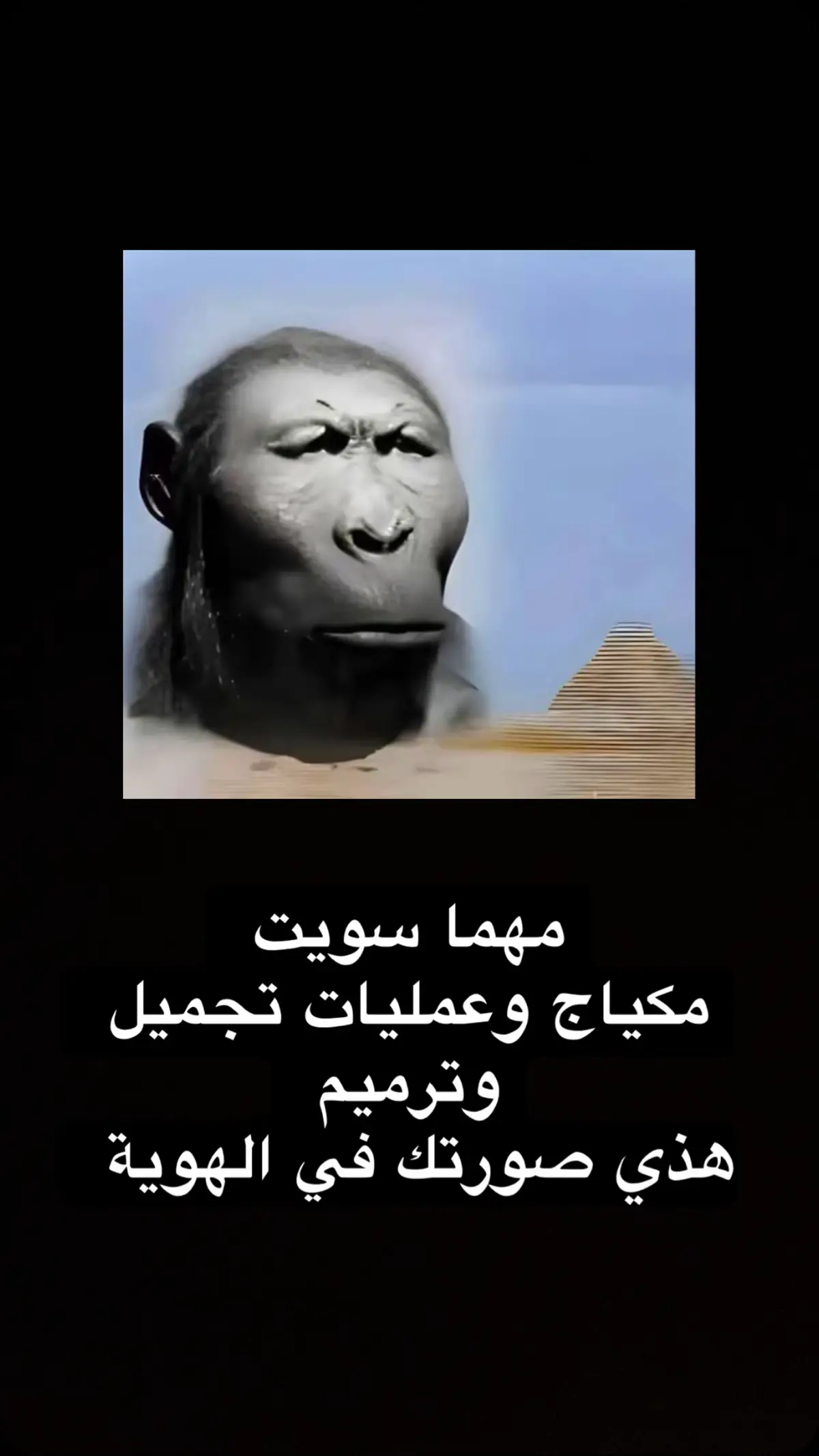 #الشعب_الصيني_ماله_حل😂😂 