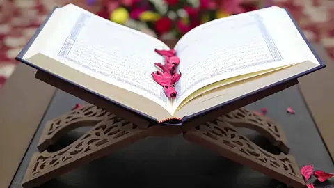 #رساله_للقلب🖤🥀 #خواطر_للعقول_الراقية #مواعظ_مؤثرة #حجاج_العجمي #ياسر_الحزيمي 