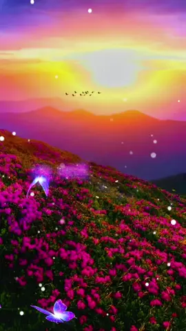 #fyppppppppppppppppppppppp #tiktokindia #اكسبلور_explore #اكسبلور_explore 