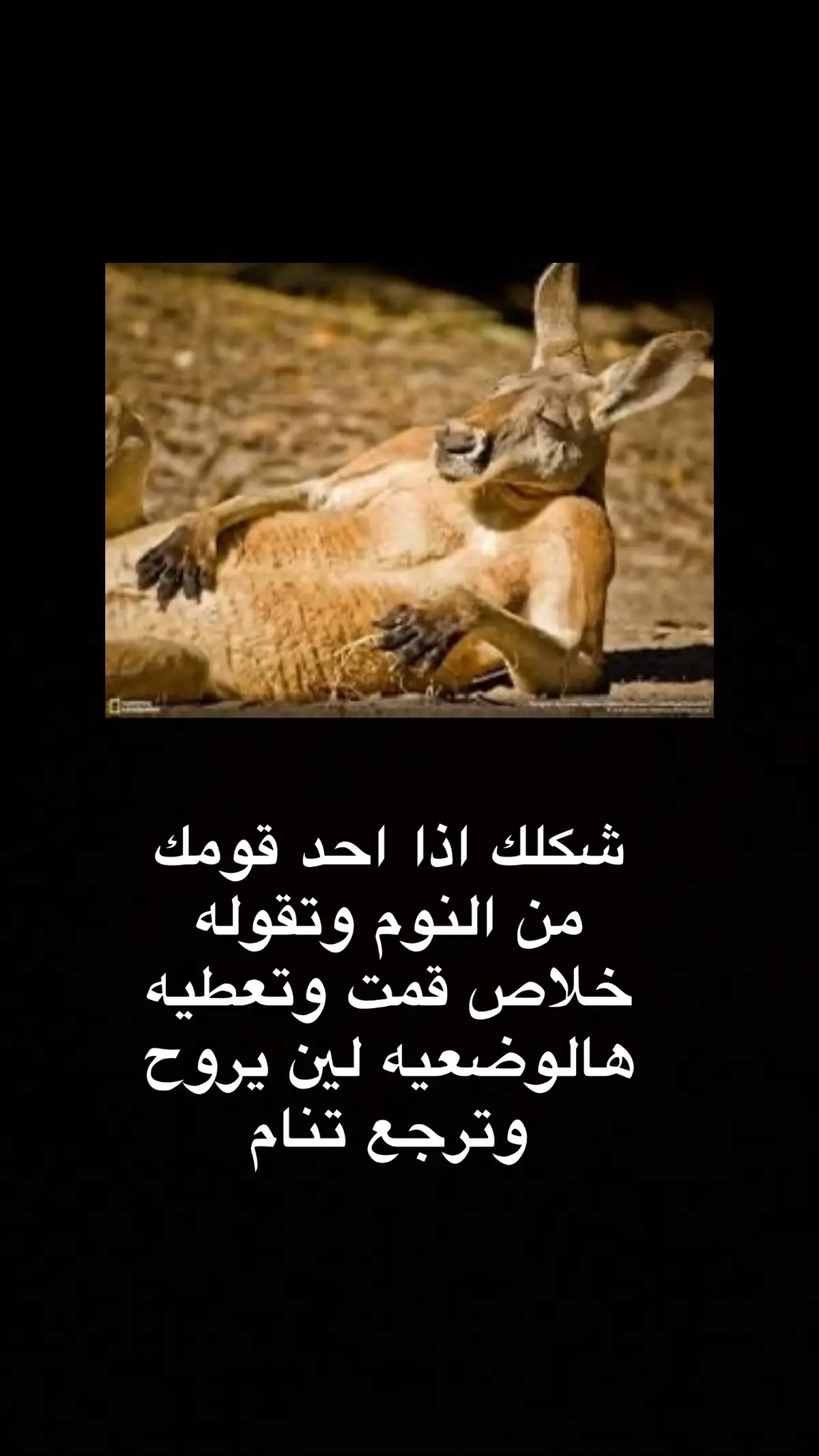 #الشعب_الصيني_ماله_حل😂😂 