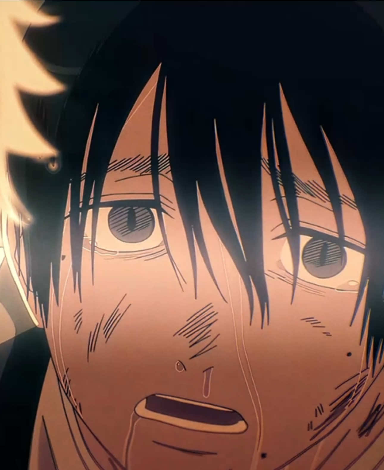 WOOF WE WANT IT #tshd #hikaru #yoshiki #thesummerhikarudied #fyp 