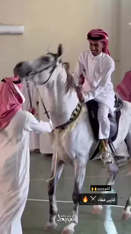 #مربط_دليم_ابن_براك#الفارس_بندر_دليم_بن_براك #الفارس_عبدالاله_منير_العازمي#متابعه_ولايك_واكسبلور 