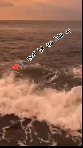 يد شادا ويد فيا تدبح 🎙️💔#اعادة_النشر🔃 #tik_tok #vairal #ماله_حل_الشعب_الصيني😂 #عالم_الرجال♤_فلسفة_فقراء🎩🚬 