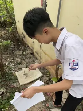dừng lại ngay dừng lai ngay:)