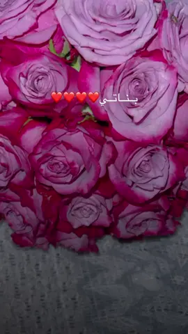 #❤️❤️❤️❤️ 