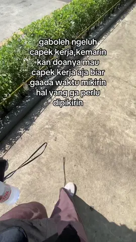 #fypシ゚viral 