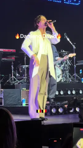 Thanks for this moment @Damiano David #concertmerefille #magicalmoment 