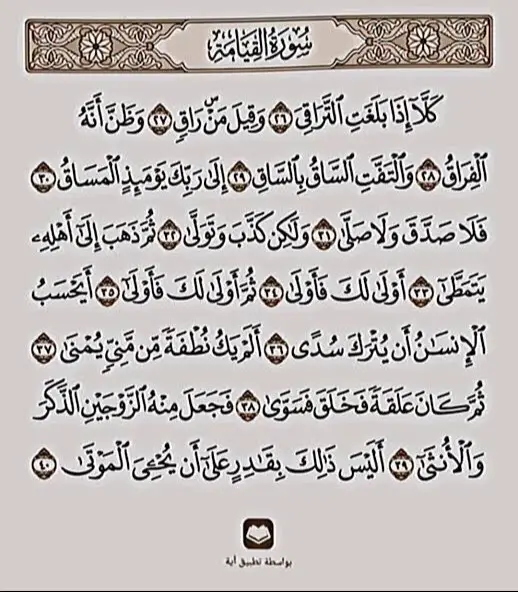 #4u #4upage #4upage #اكسبلور #اكسبلورexplore 