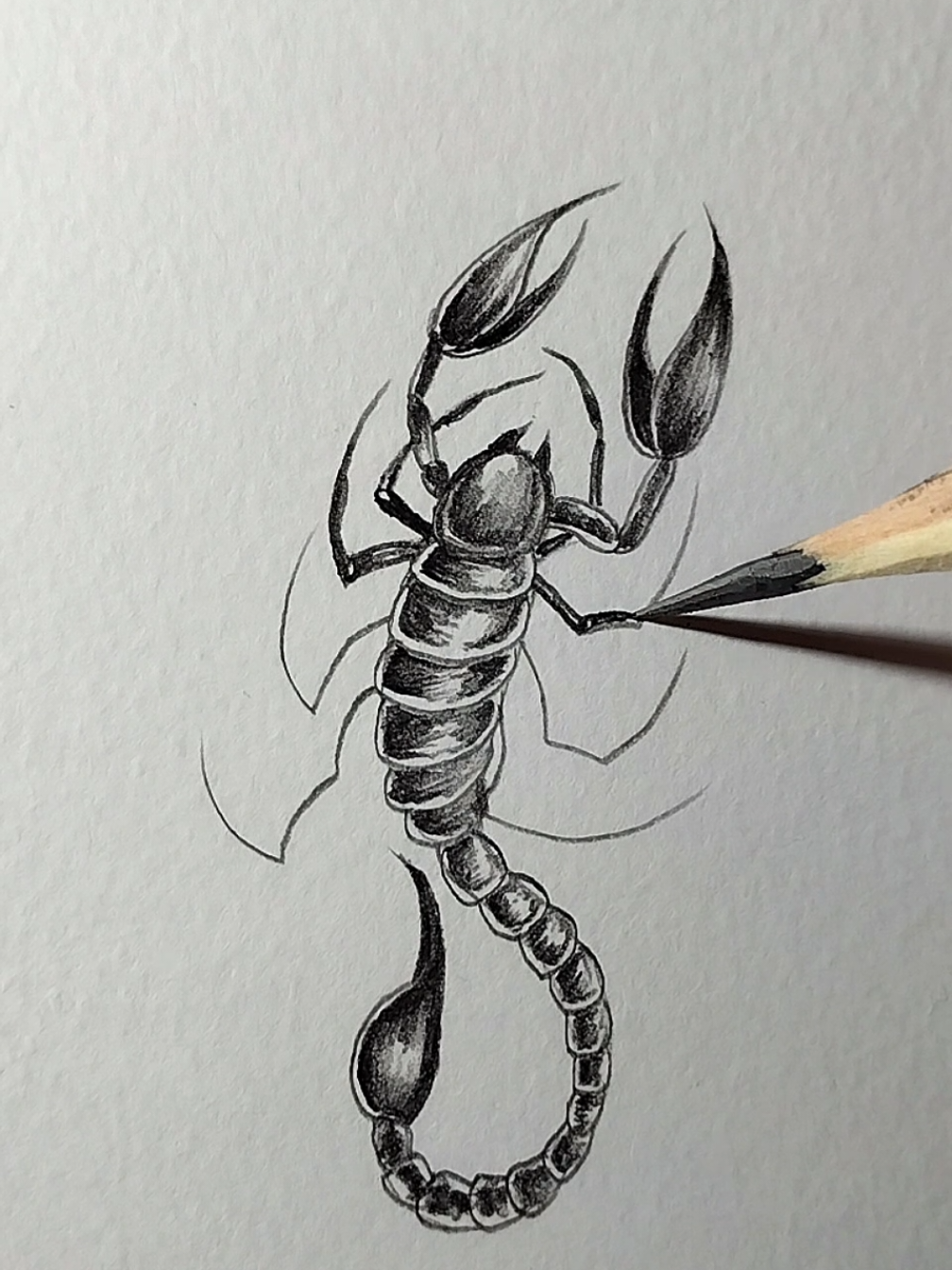 Qual seu signo? #drawing #desenhando #grafitti #scorpion 