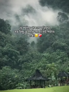 যে পর্যায়ে থাকলে দুনিয়ার  সব কিছু অশান্তি লাগে,সেই পর্যায়ে  আছি!😌❤️‍🩹#status #foryoupage #unfrezzmyaccount #growmyaccount #hey_rafi_03 #viralplz🙏 @TikTok @TikTok Bangladesh 
