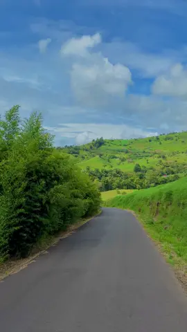 🇨🇷 Mire como está esto Yeiborsh…  #CostaRica #puravida #Cartago #Turrialba #guayabo 