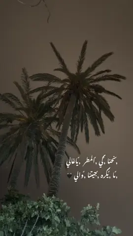 #درنه_ليبيا🇱🇾 #طرابلس_ليبيا_بنغازي_طبرق_درنه_زاويه♥️🇱🇾 