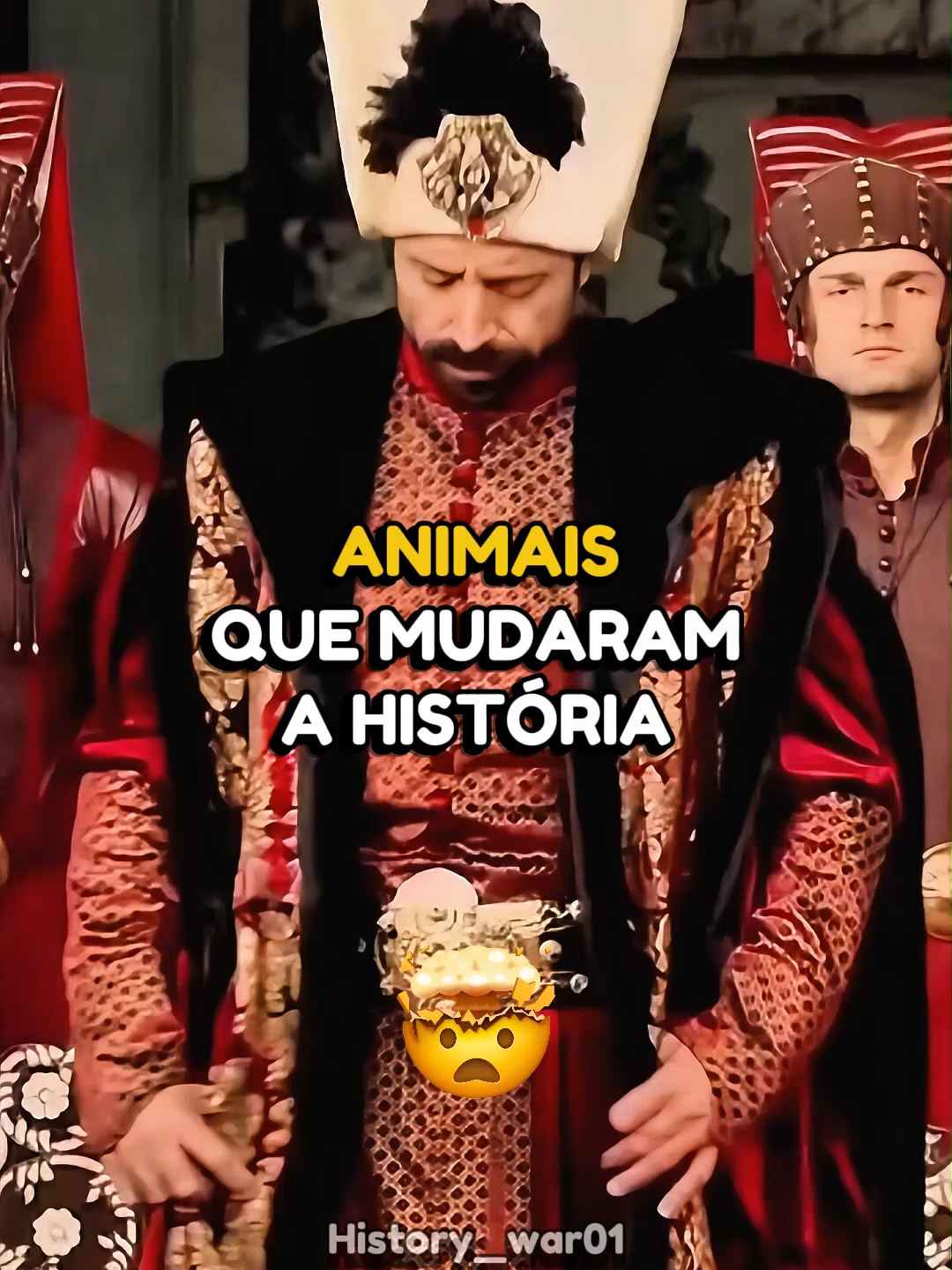animais que mudaram a historia #historia #curiosidadeshistoricas #animais #animaisnotiktok #laika #cachorro #ovelha #bucefalo #pombo