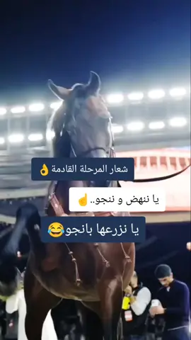 #خيل_وخياله🐎  #خيل_وخياله🐎🖤ماشاءالله_اللهم_بارك🧿  #اقتباسات_عبارات_خواطر🖤🦋❤️  #المصمم_بوهيبه🎬بوهيبه🎵  #مجرد________ذووووووق🎶🎵💞 