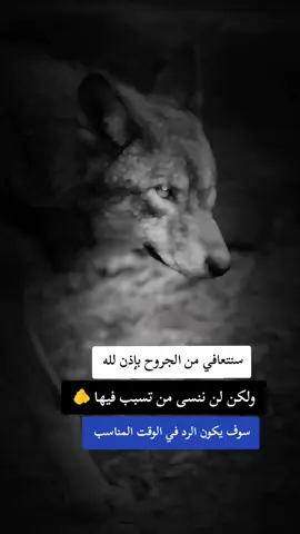#fyp #F #f #شلفاوة_والحلاوة🔥 #شعب_الصيني_ماله_حل😂😂 