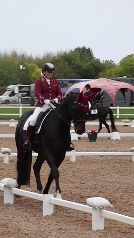 Jane Littlejohn & Not Just Anyone’s Elementary Silver journey from the test to shining in the spotlight at the Petplan Summer Area Festival Championships 👏  #PetplanFestivals #BritishDressage