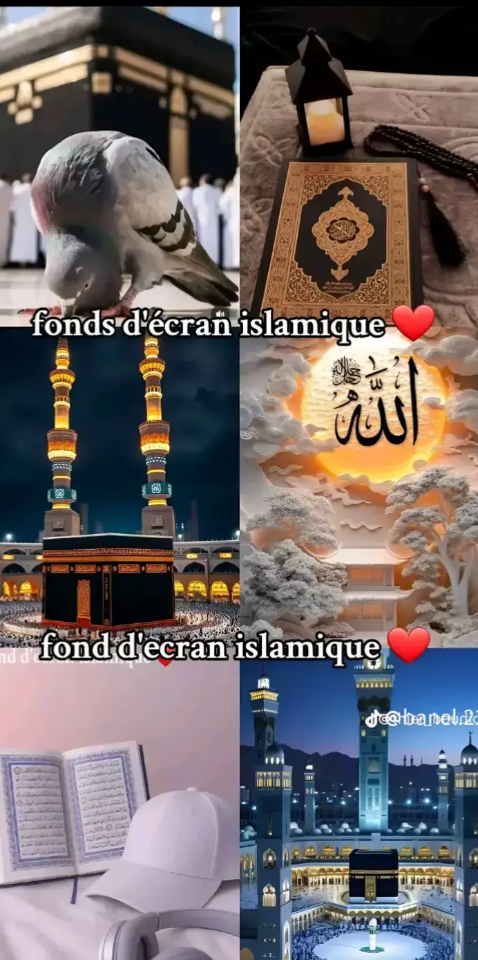 #islame### 