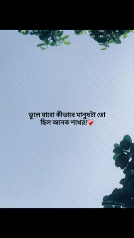 ভুলে যাবো কীভাবে মানুষটা তো ছিল অনেক শখের!❤️‍🩹 #foryou #banglacaption #sadcaption #emotionalvideo #fyp 